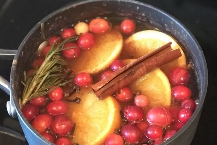 Dried Orange - Cranberry Stove Top Potpourri — Mommy's Kitchen